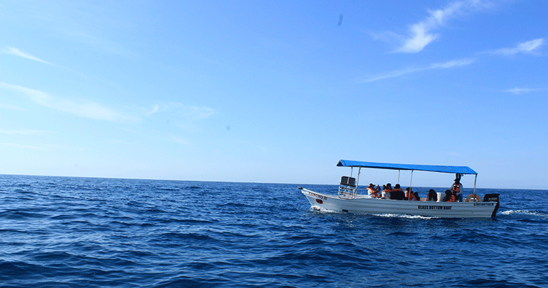 Cabo Glass Botom Boat