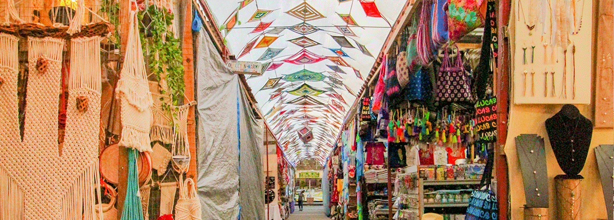 Paseo Mágico a Todos Santos