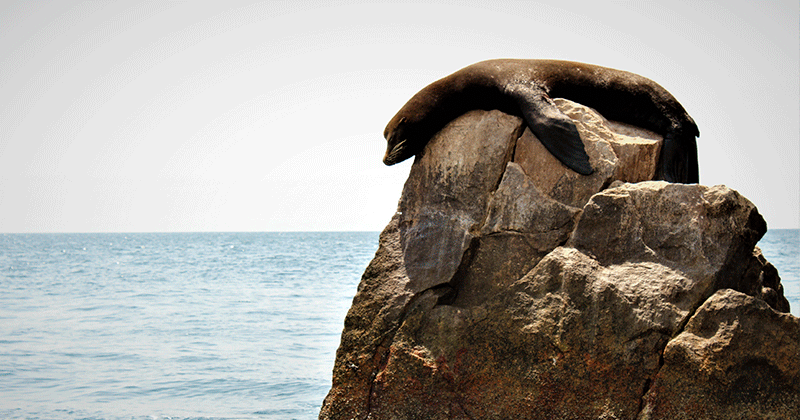 Paseo por Land's End en Los Cabos