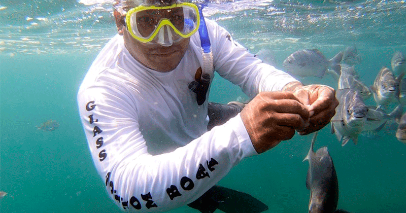 Snorkeling by The Arch Tour in Cabo