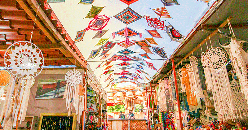 Paseo Mágico a Todos Santos