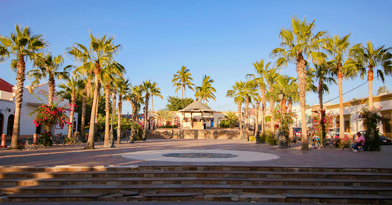 Paseo Mágico a Todos Santos